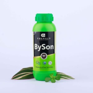 byson